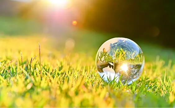 草の上に置かれた透明なガラス球体と太陽光