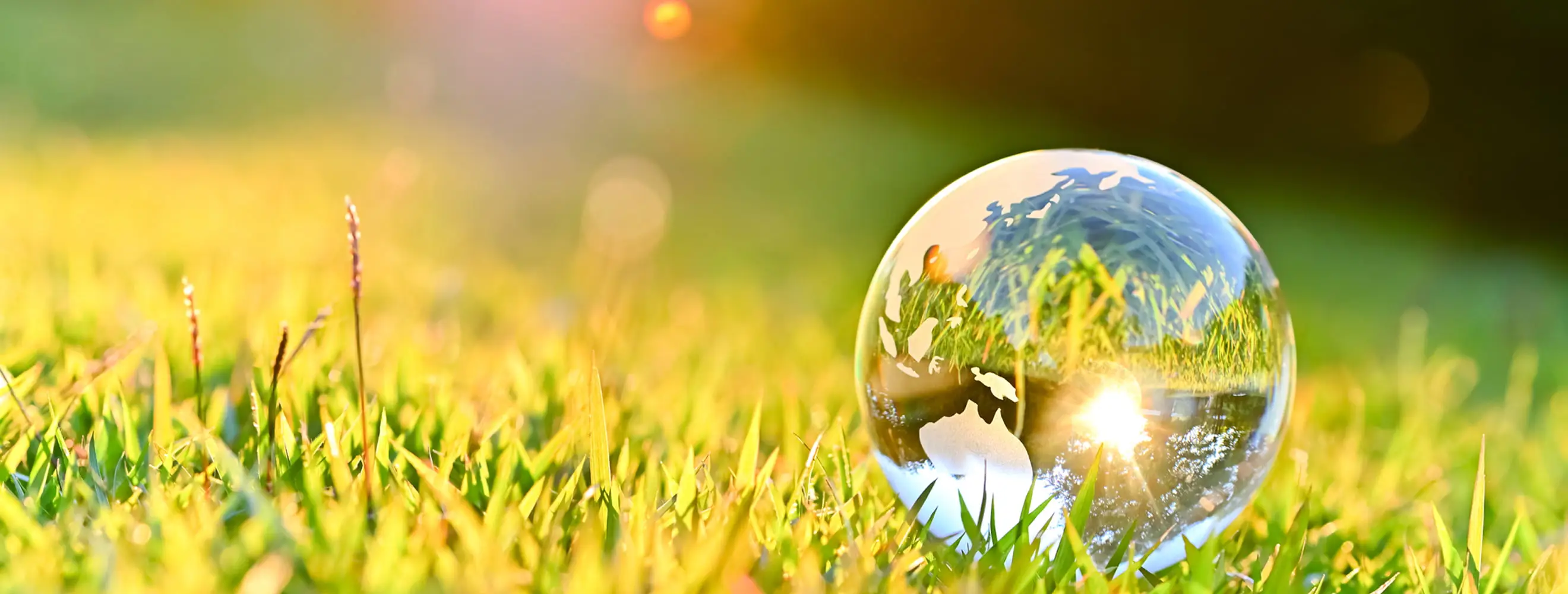 草の上に置かれた世界地図が描かれた透明なガラス球体と太陽光