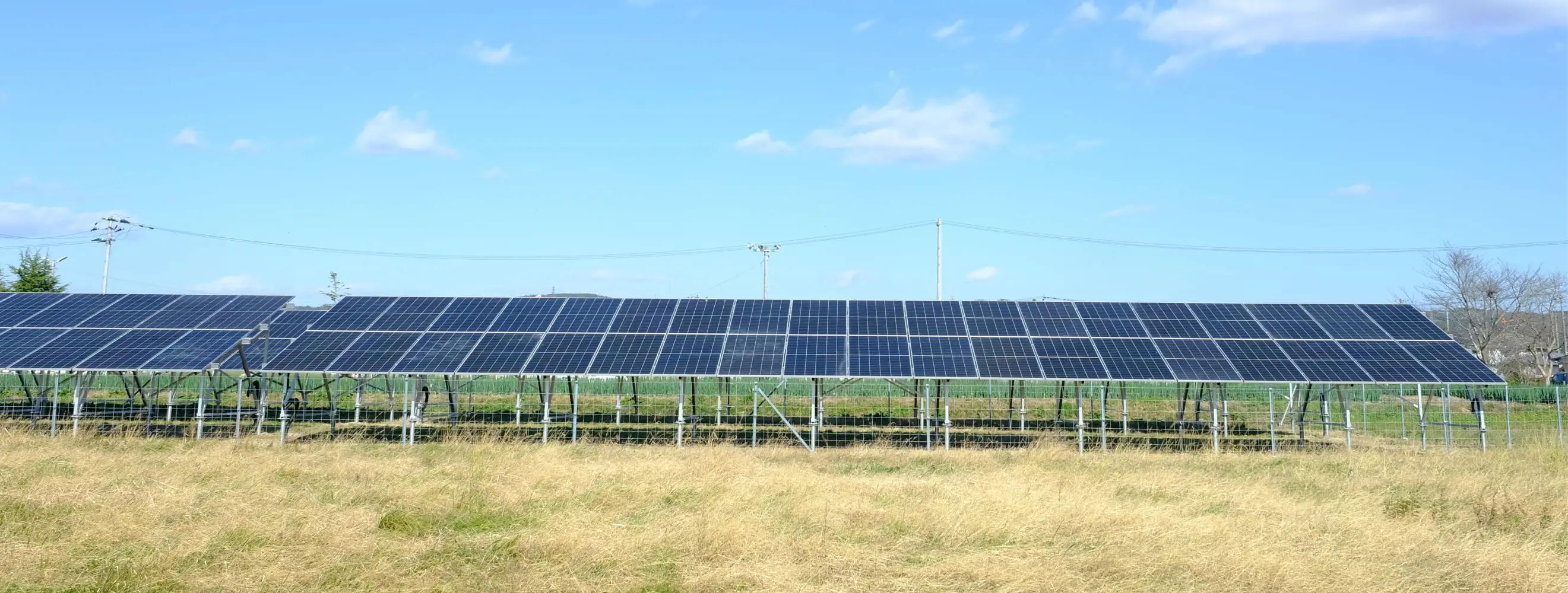 青空の下、複数の列に整然と並ぶ太陽光パネルが広がる大規模なソーラーファームの全景