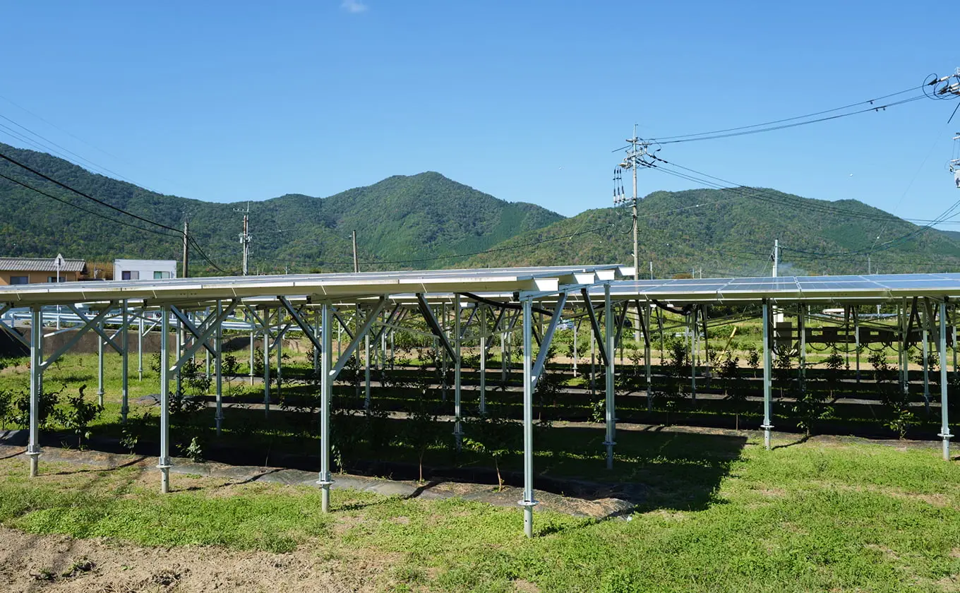 ソーラーシェアリングで農作物と太陽光発電を両立する農地