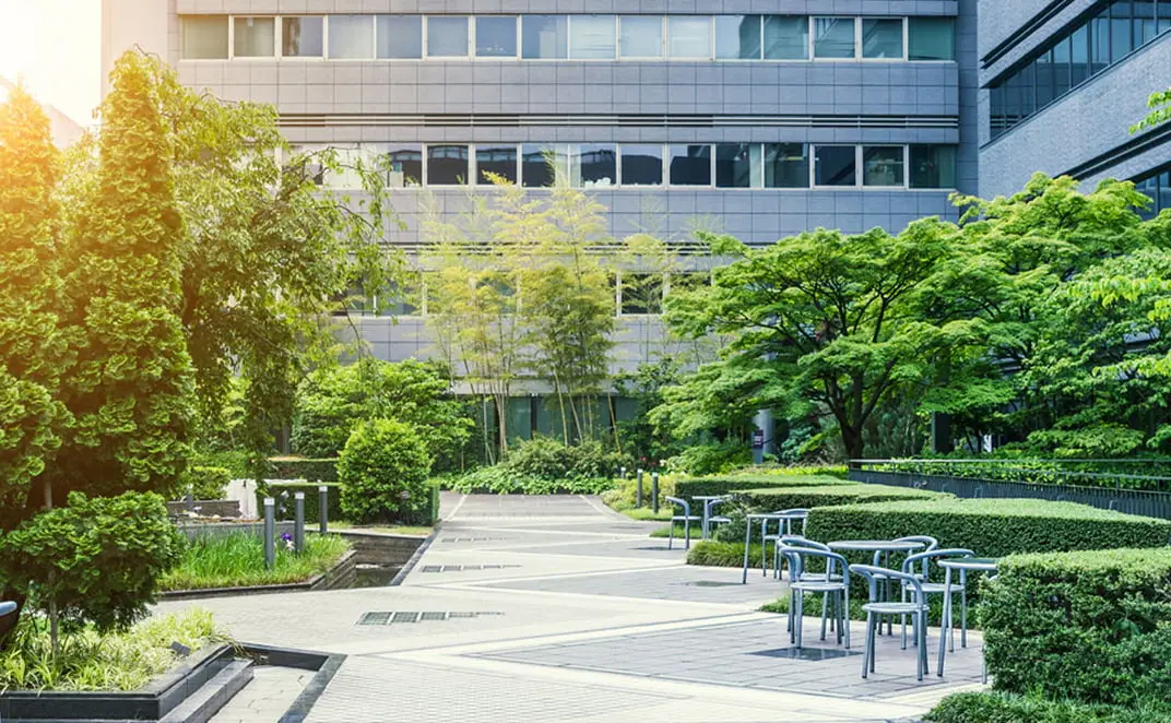 緑豊かな企業のオフィス外観と庭園