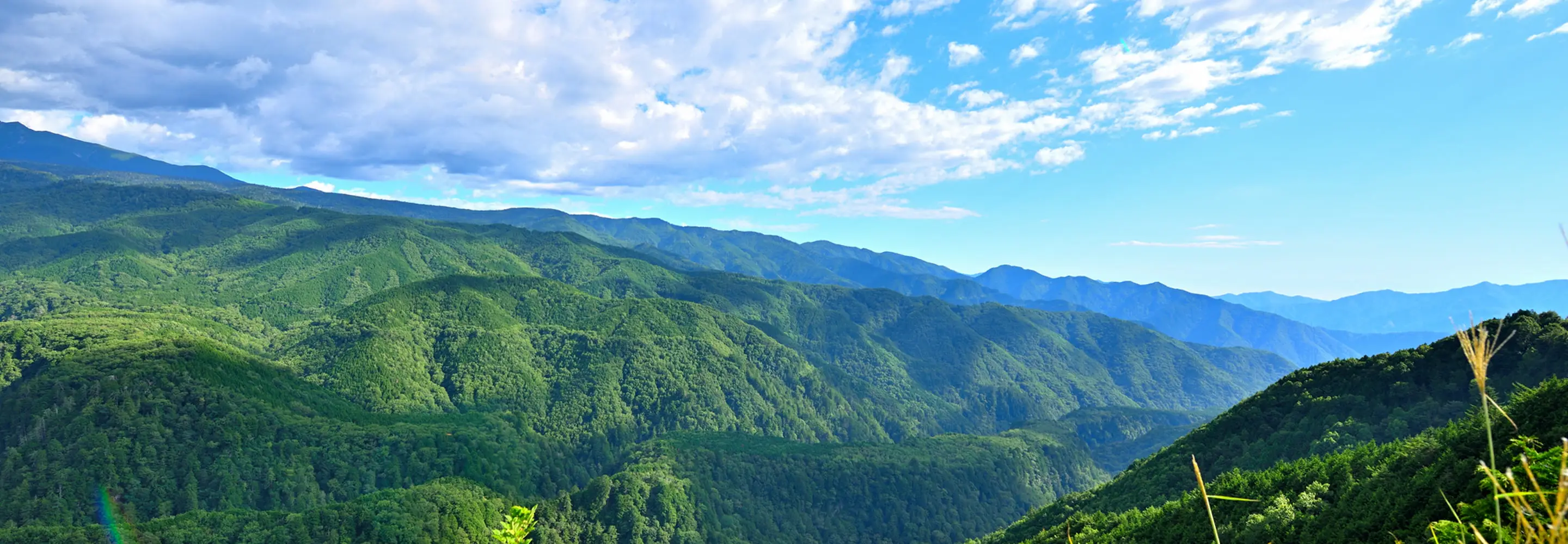 晴れた日の広大な山岳地帯のパノラマ風景。青い空と白い雲の下、緑豊かな山々が幾重にも重なって連なり、手前の山々は濃い緑色、遠くの山々は青みがかった色で奥行きを感じさせる